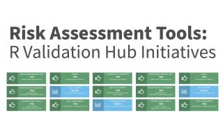 Marly Gotti | Risk Assessment Tools: R Validation Hub Initiatives | Posit