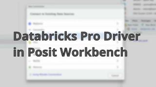 Databricks Pro Driver in Posit Workbench